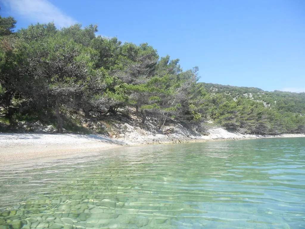 *** Πανσιόν Apartments & Rooms Dinko Valun Κροατία
