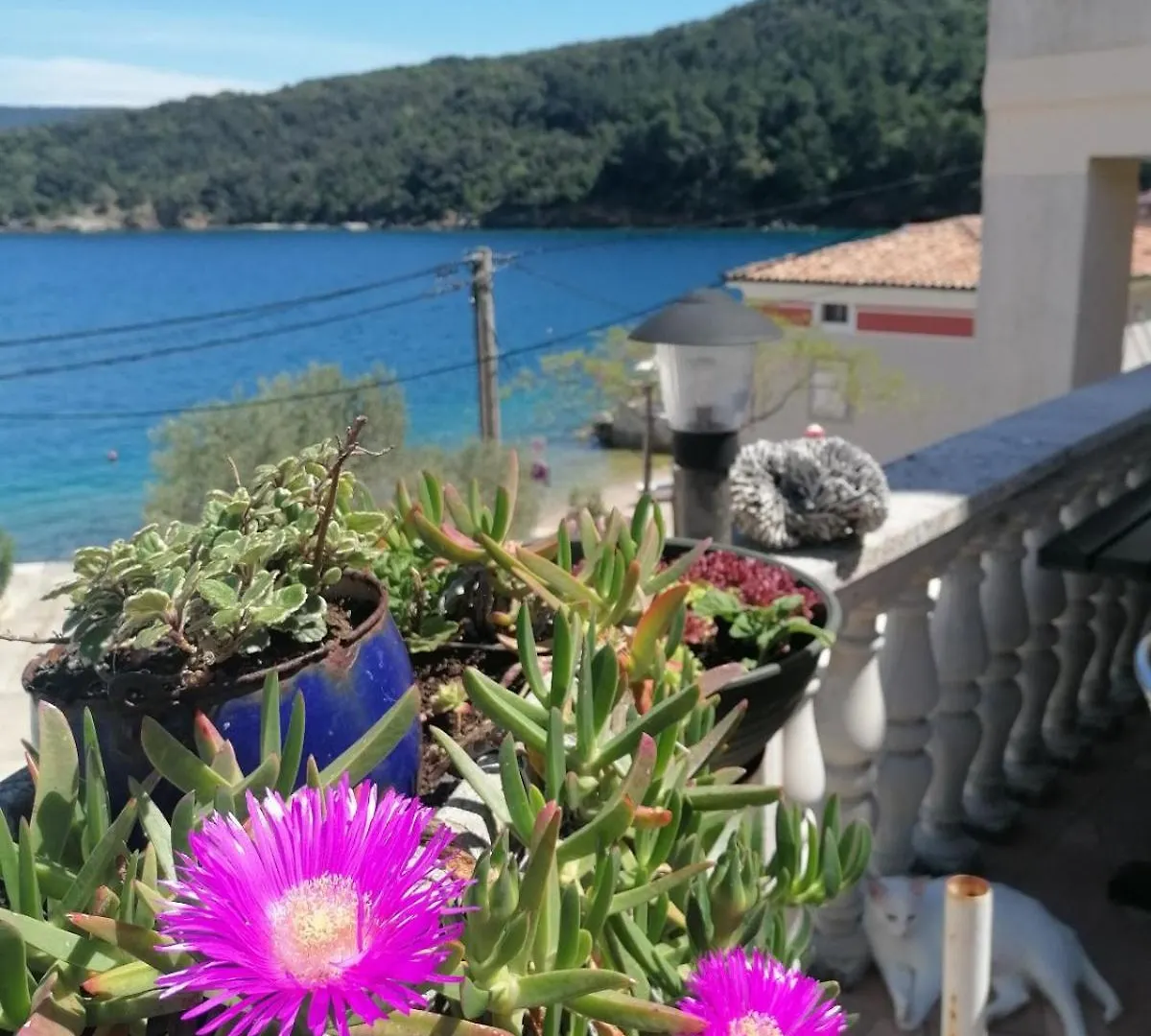 Apartments & Rooms Dinko Valun Croatie